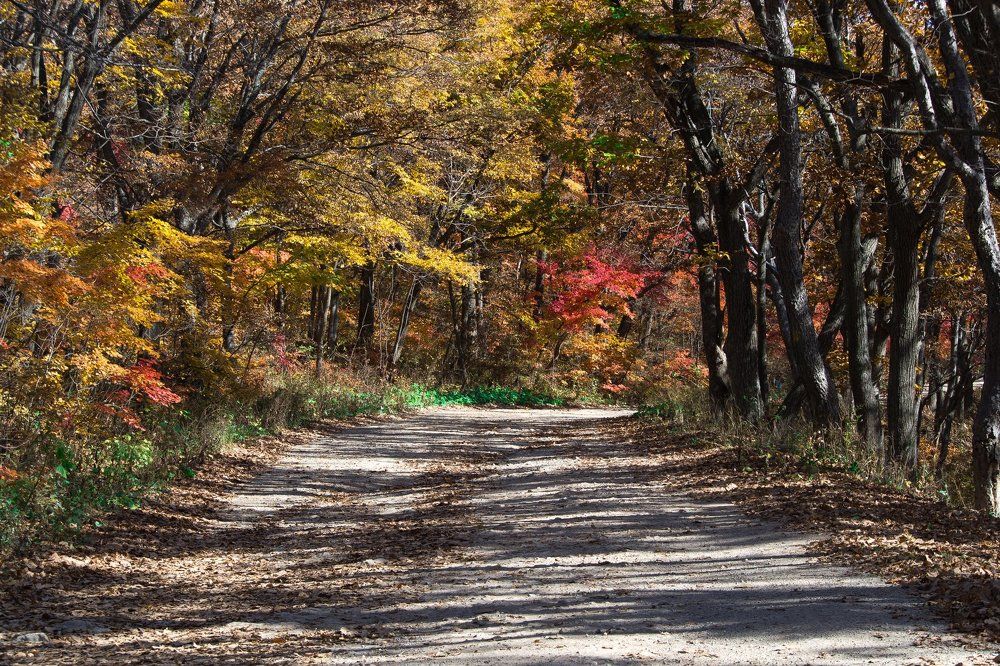 Осенняя палитра