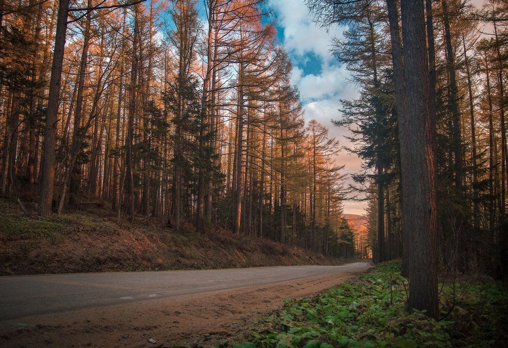 Дорога в горы