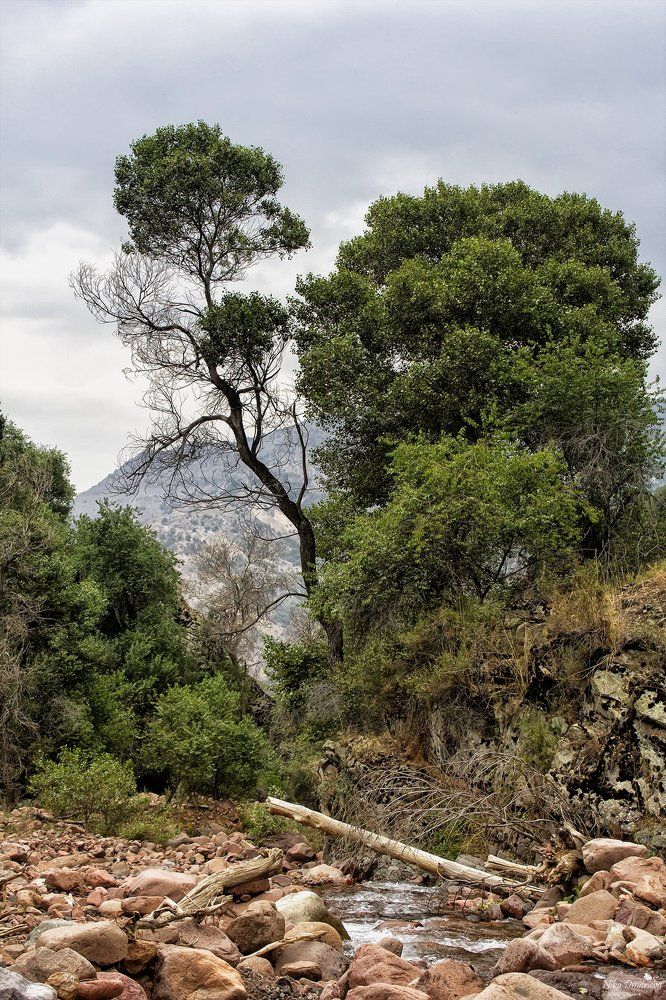 Вдоль,да по речке