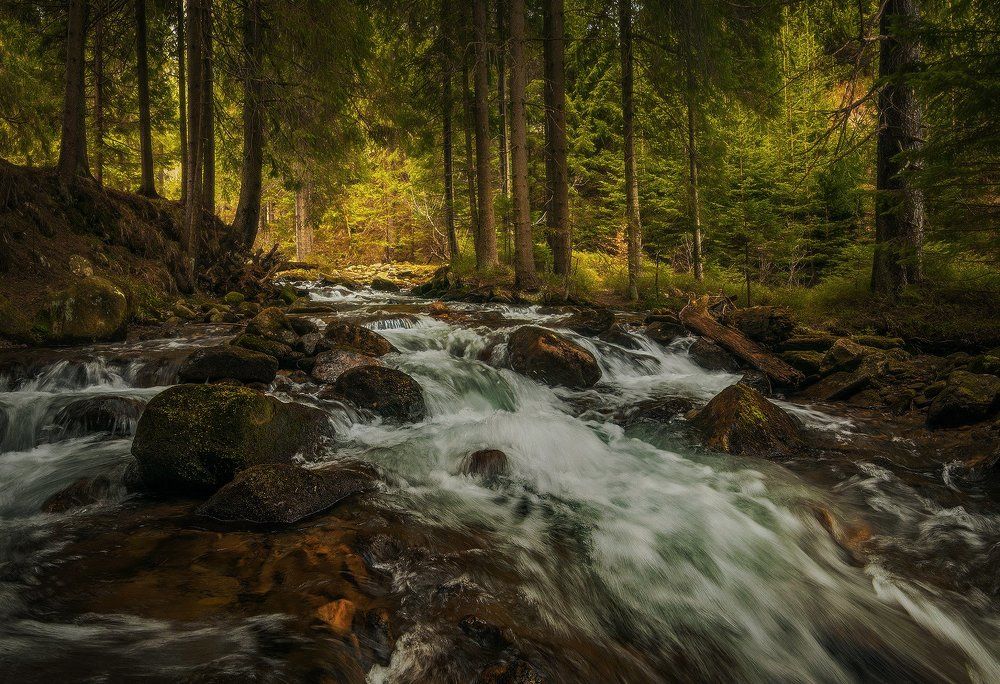 "Carpathian waterfalls"