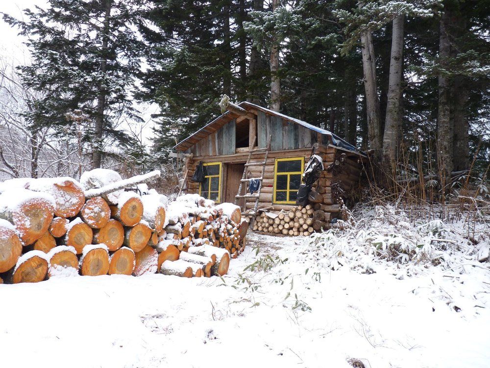 Зимовье.Первый снег