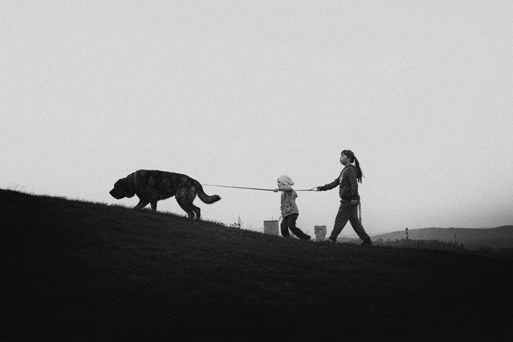 Выгул собаки.