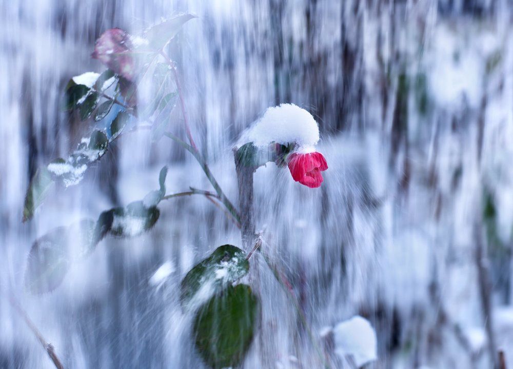 сквозь бурю