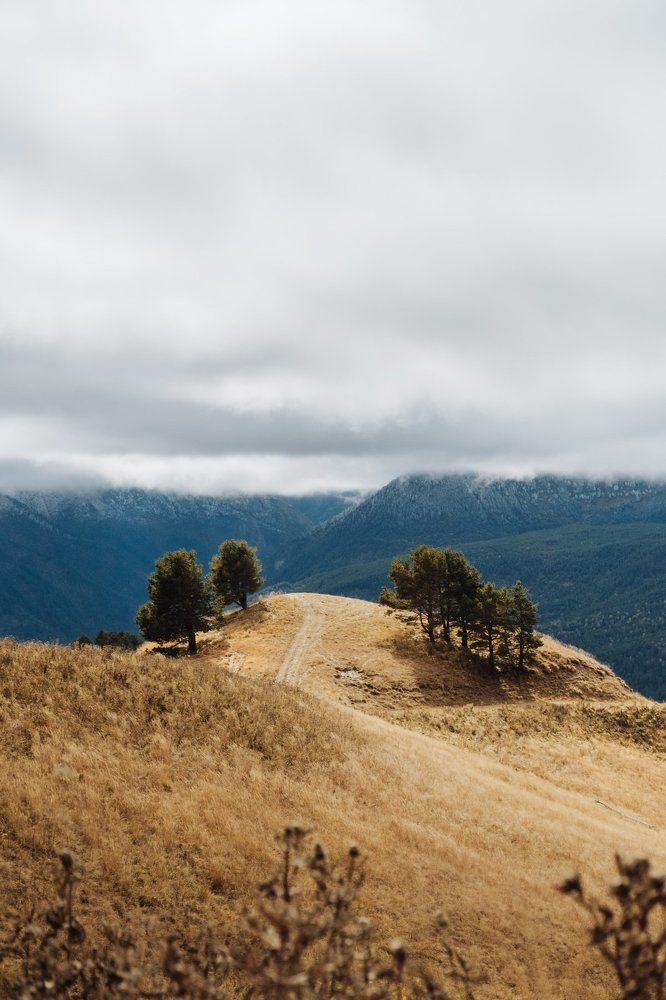 вершина осени