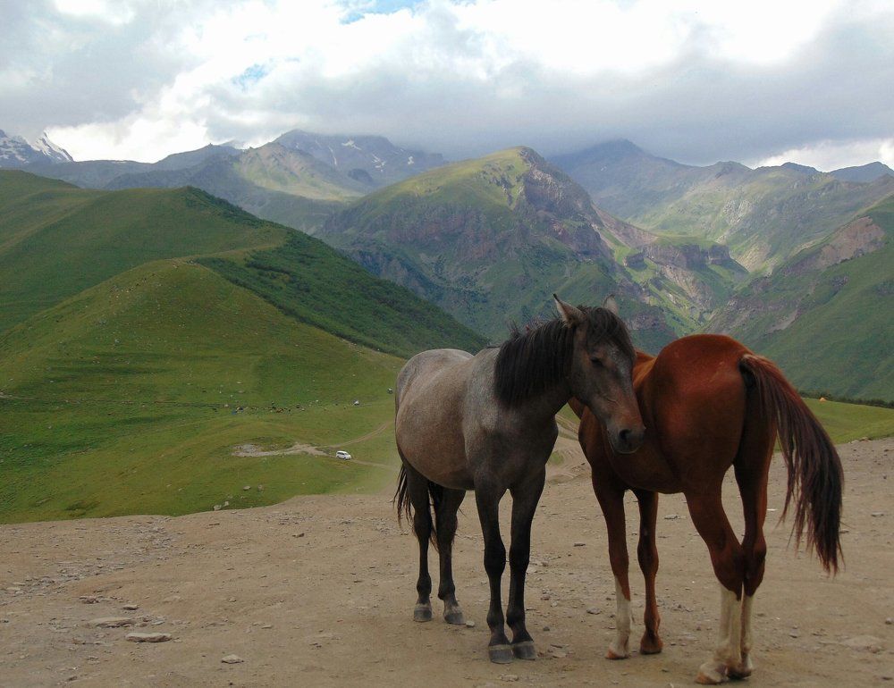 Удивительная Грузия