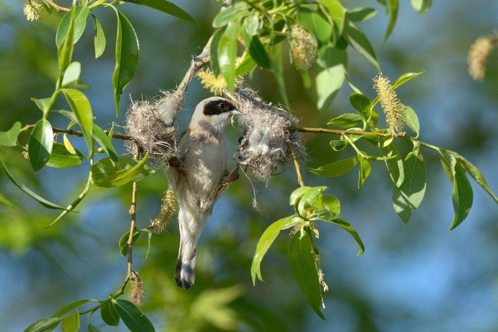 Как соединить две части гнезда?