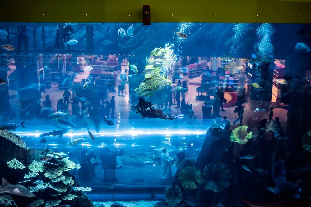 В воде, под водой, за водой...