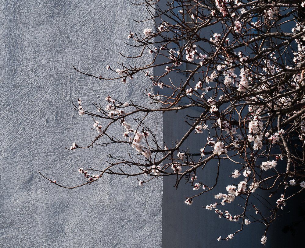 Spring