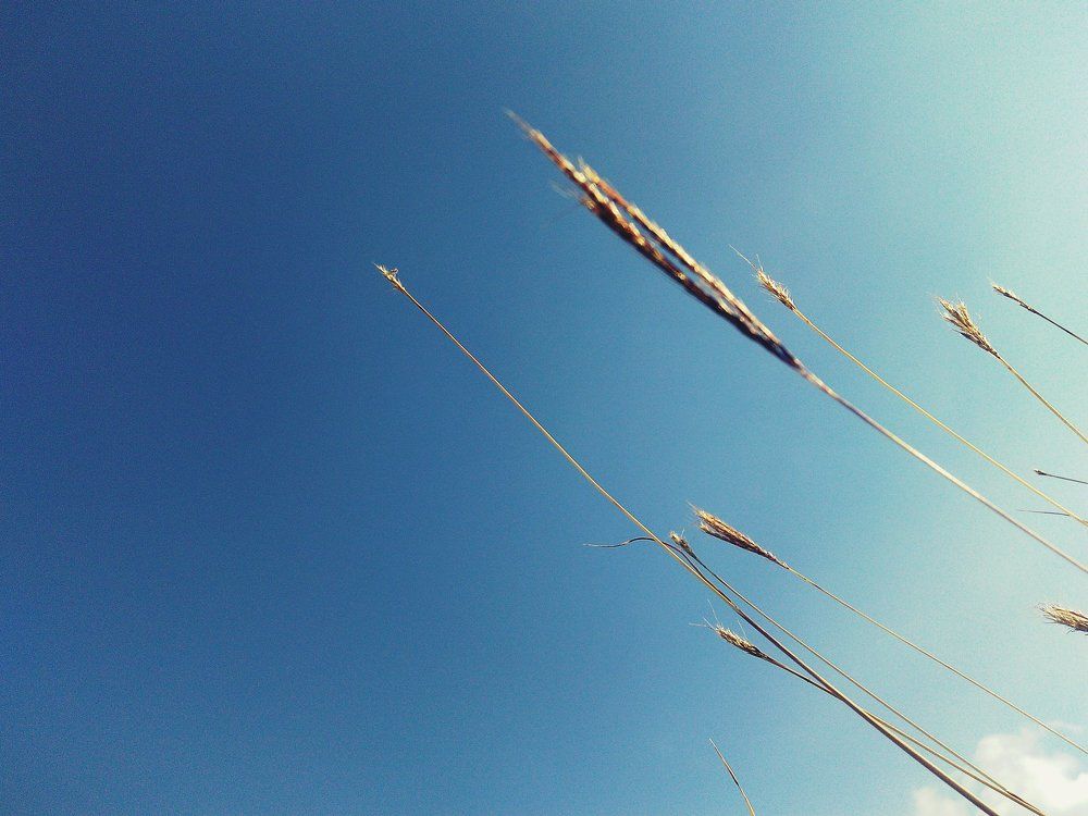 Autumn sky