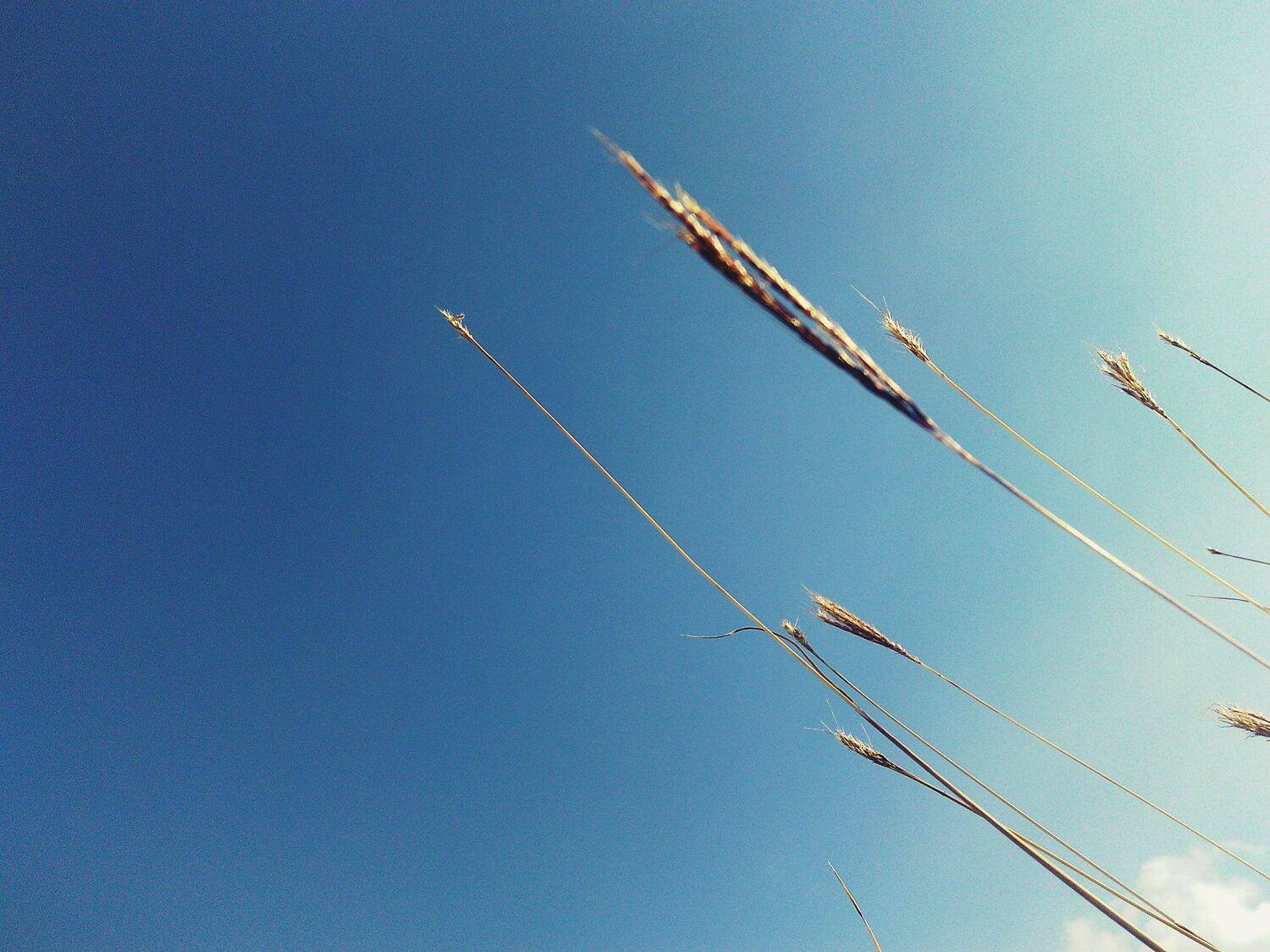 Autumn sky
