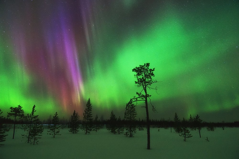 Ночные краски севера