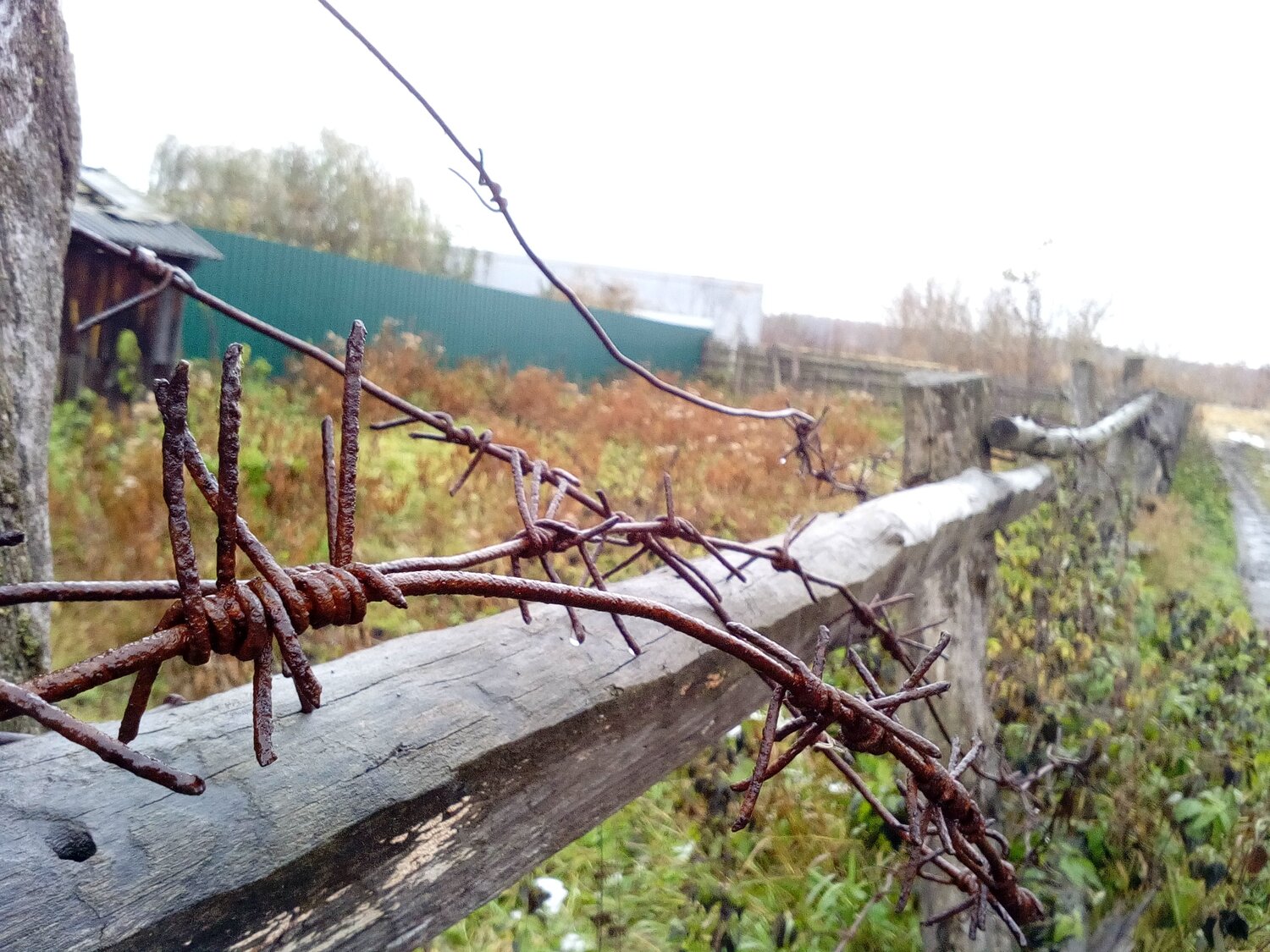 Утром в деревне