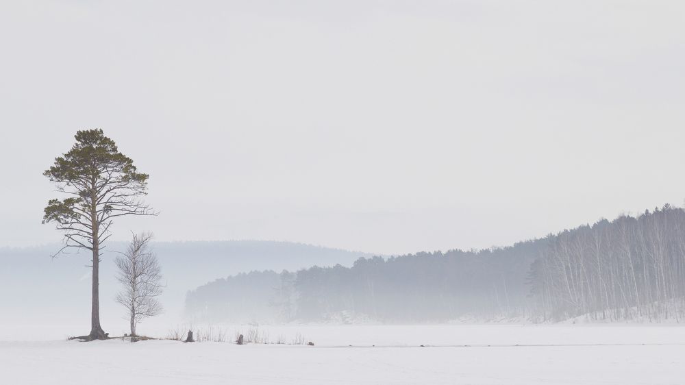 Безмолвное одиночество