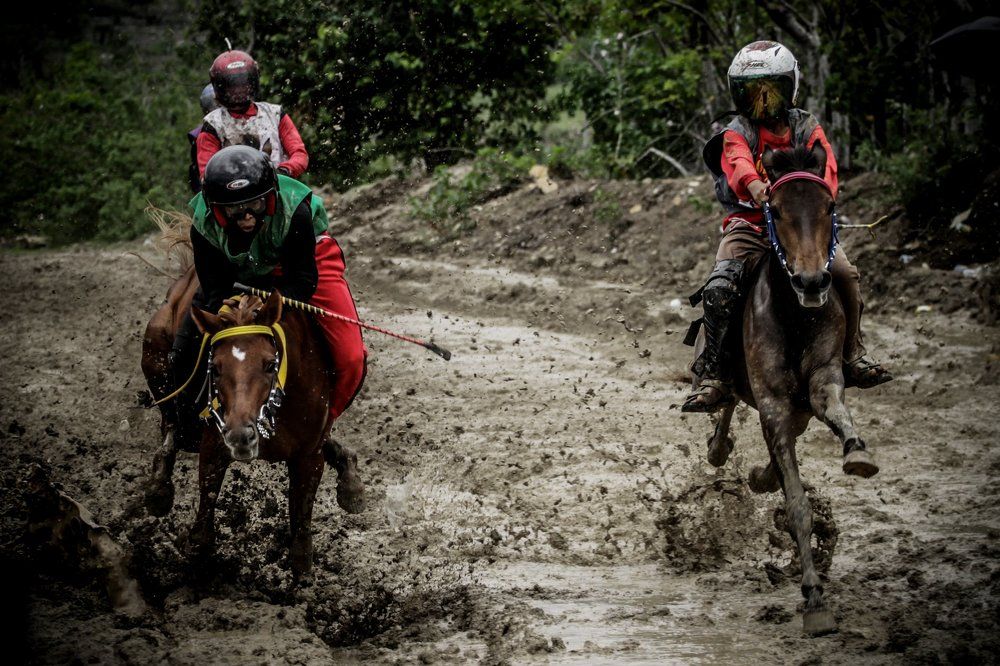 The Little Jockey