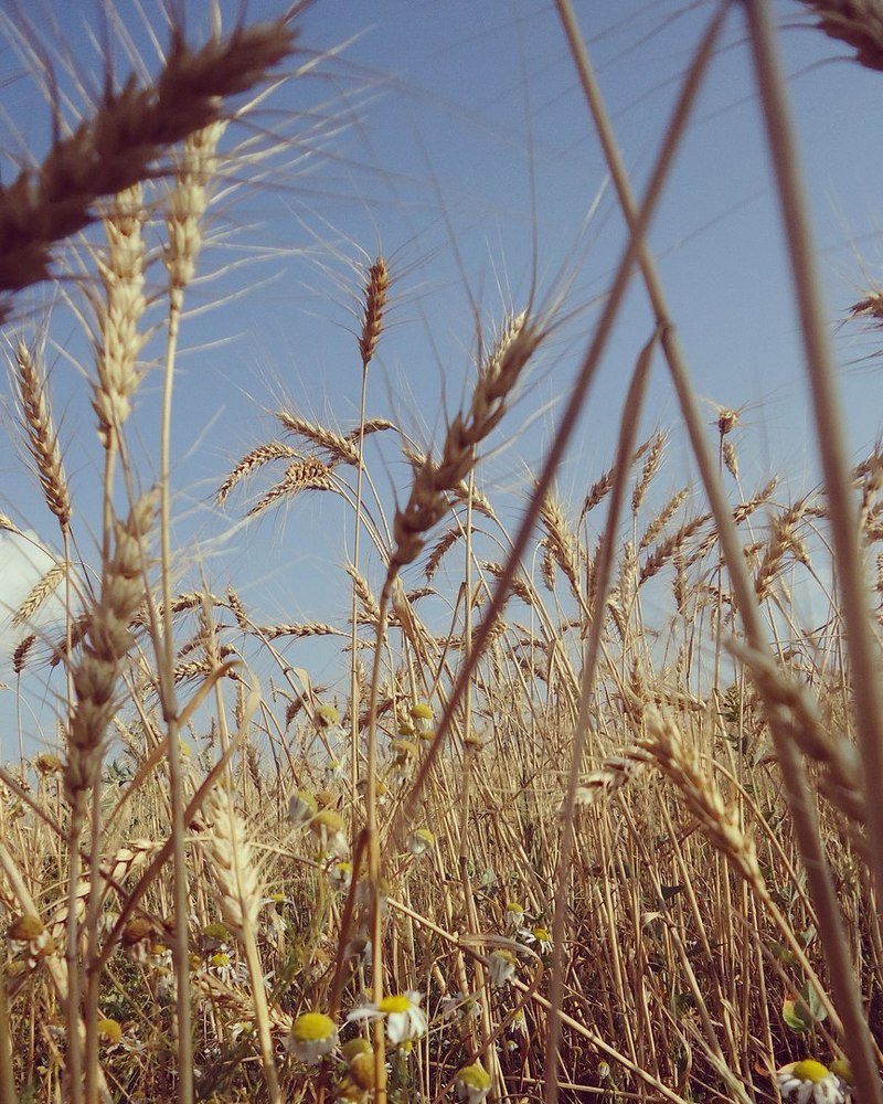 Photograph by Элла Якушова