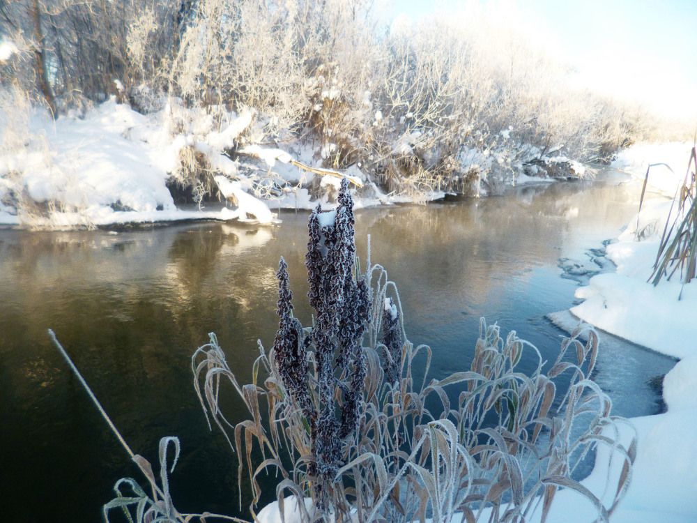 Октябрьская сказка