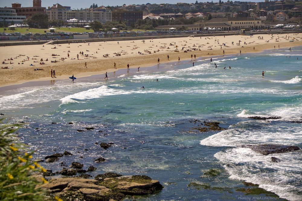 На пляже Bondi Beach