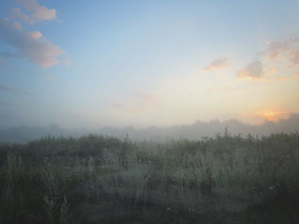 "Серебристое утро"