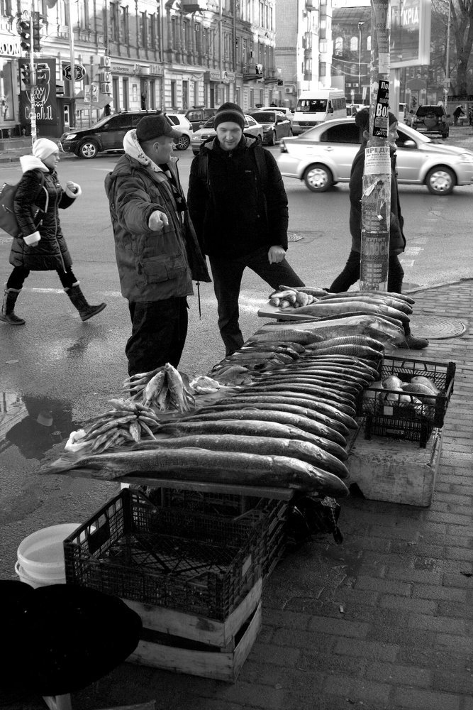 That fish over there….