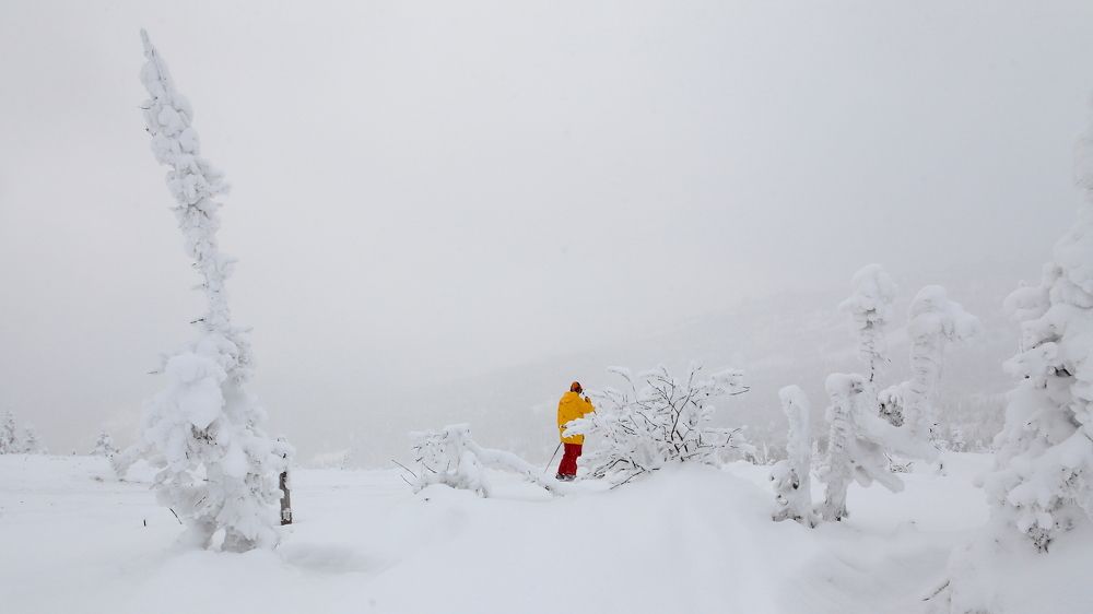 Зимние зарисовки выходного дня