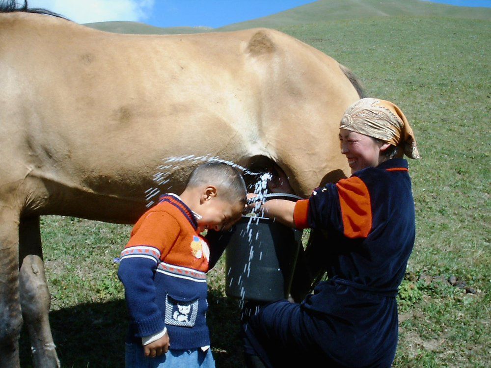 Мамины шутки