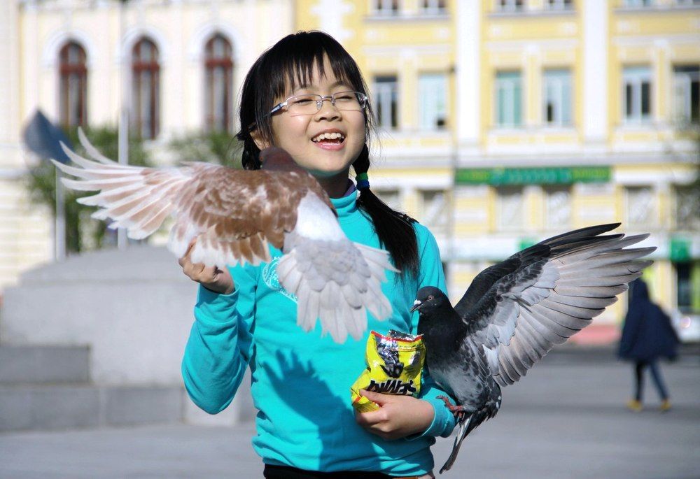 Голуби