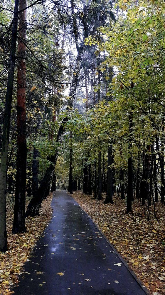 Осенний парк