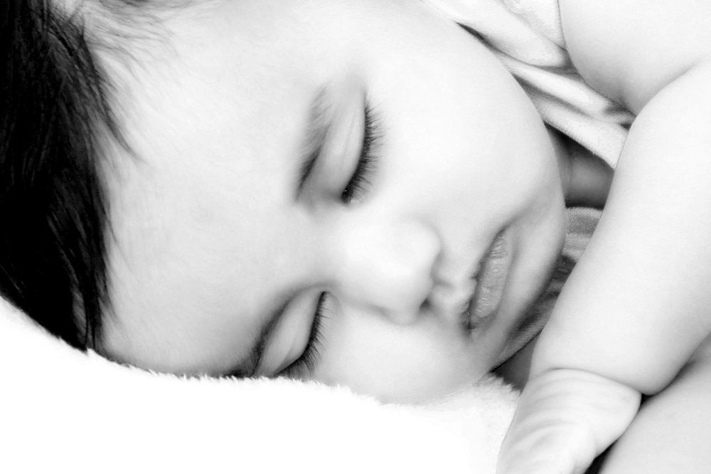 Eat, play, sleep and repeat
