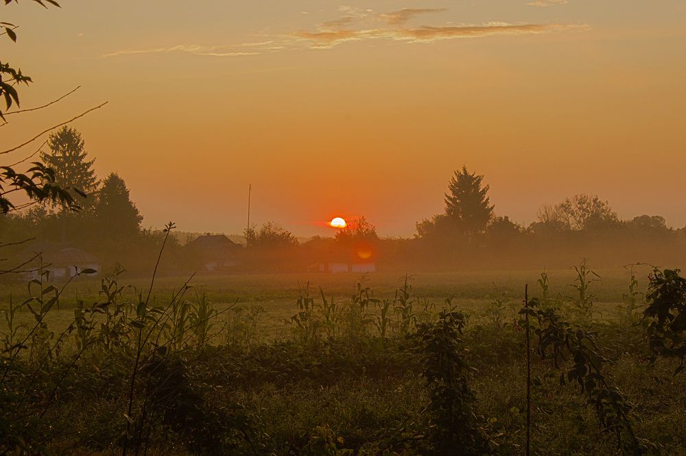 Утро в деревне