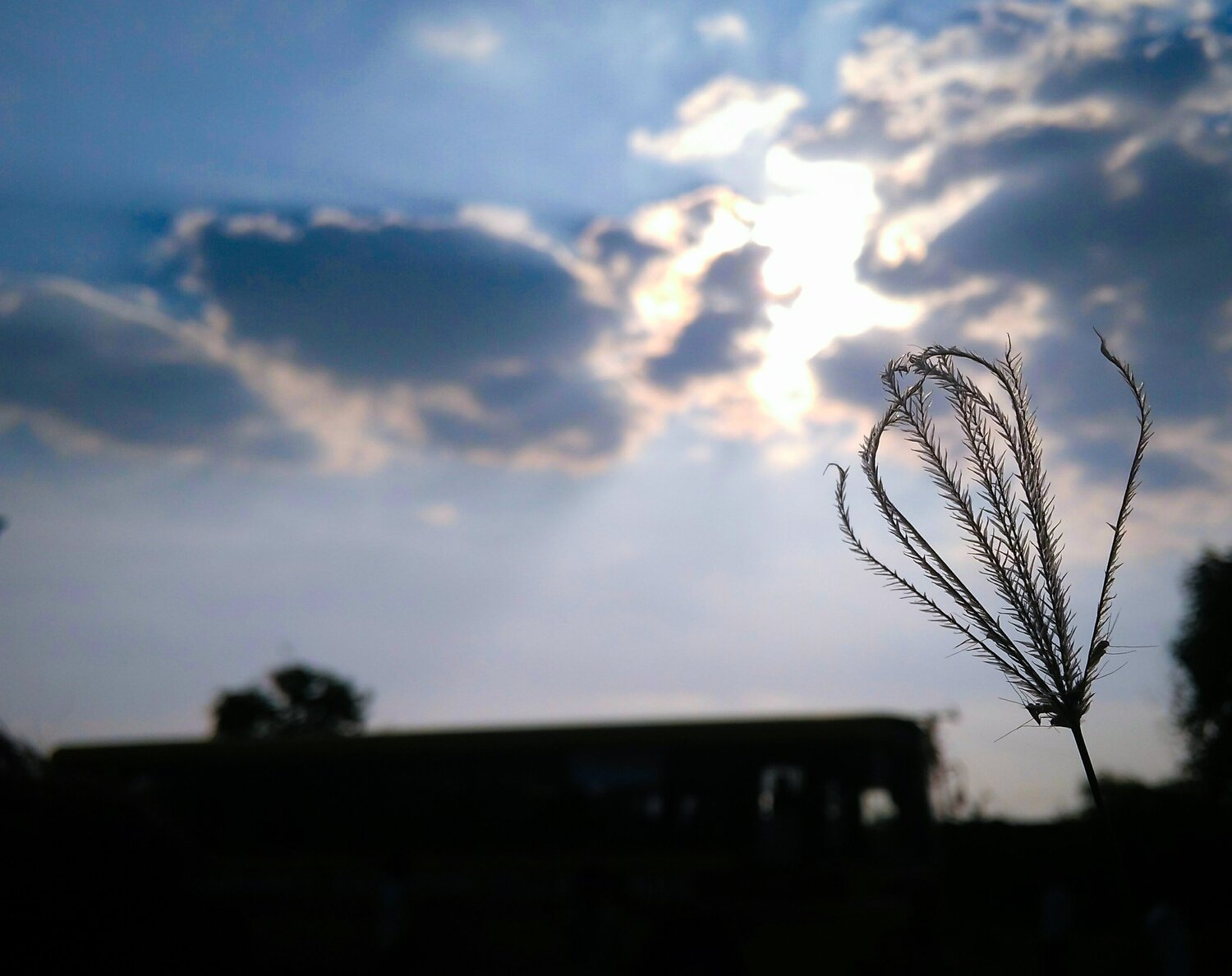 Glow of our life