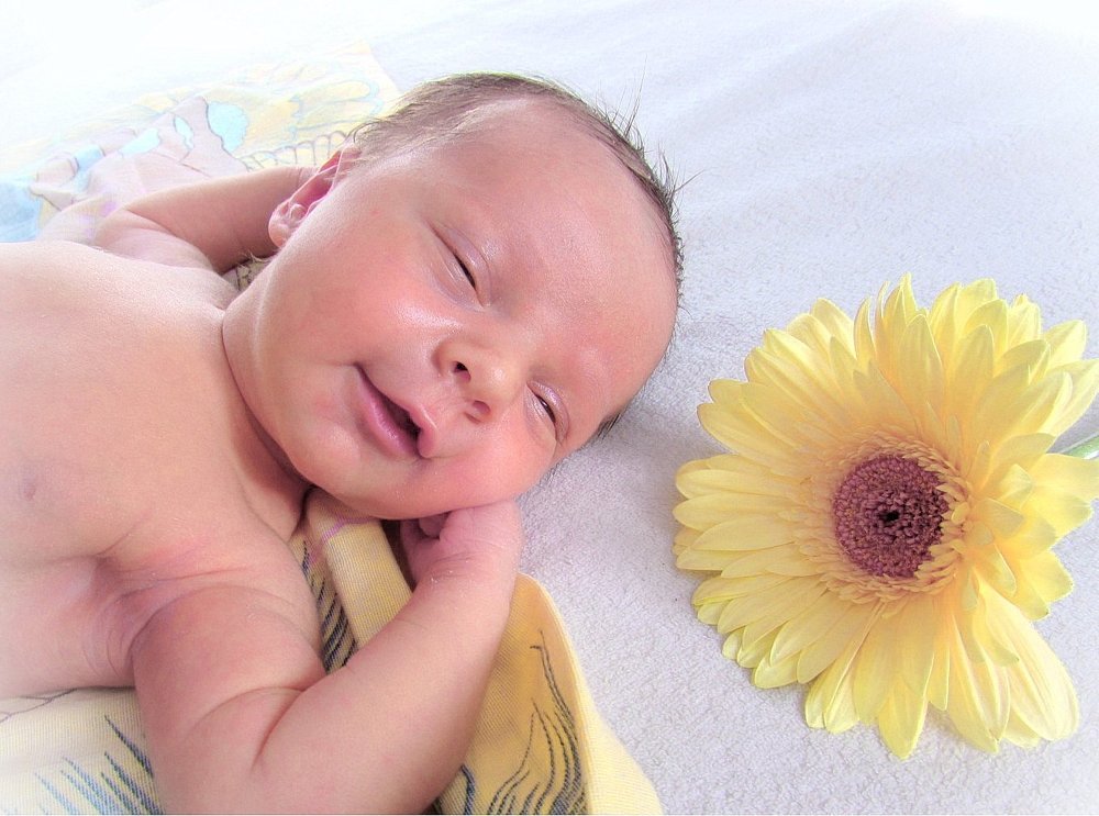 Я на солнышке лежу...