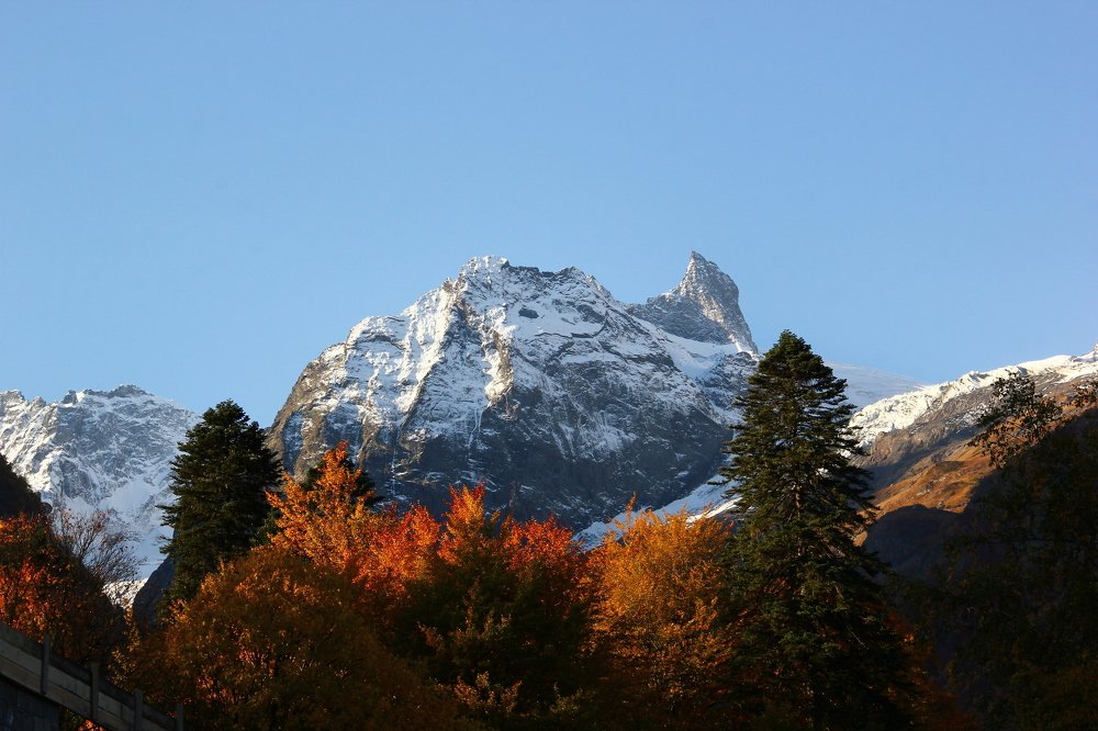 Горы Домбая, вершина Клык тигра.
