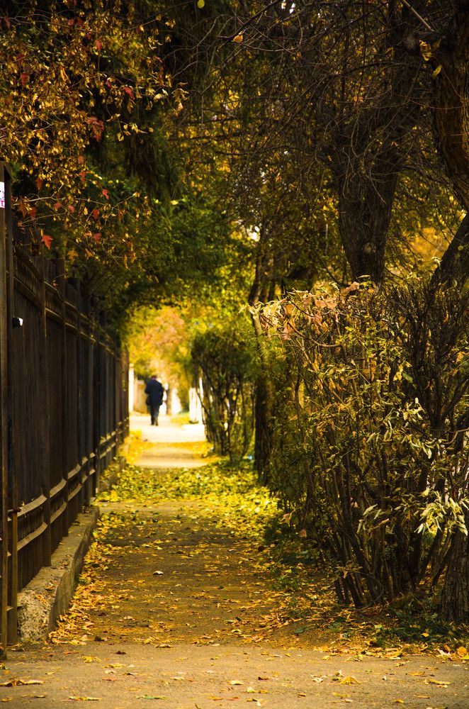 Краски осени.