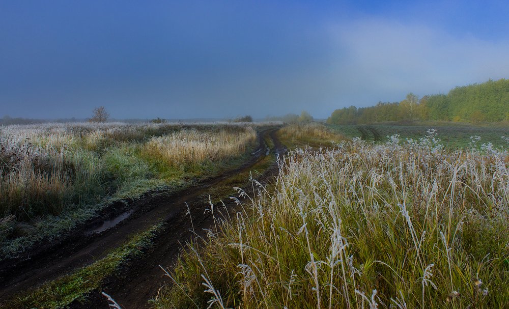 Дорога в осень