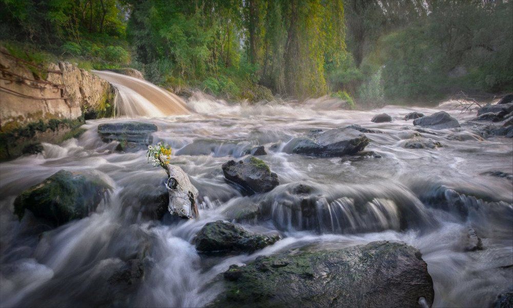 У горного ручья