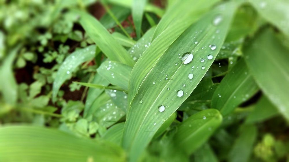 water droplets