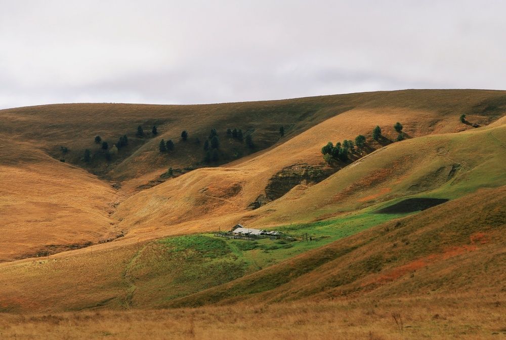 Умиротворение