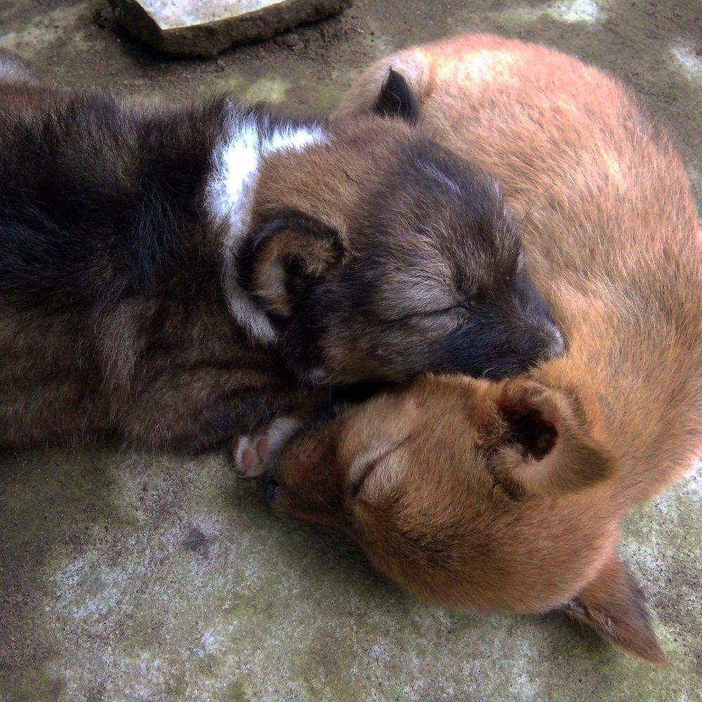 A moment together