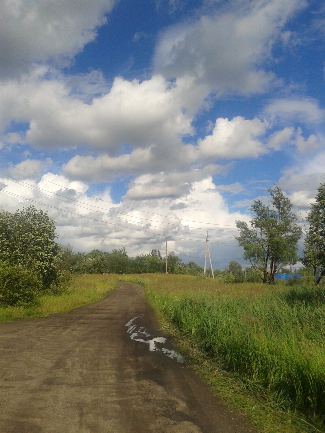 Photo #1506321