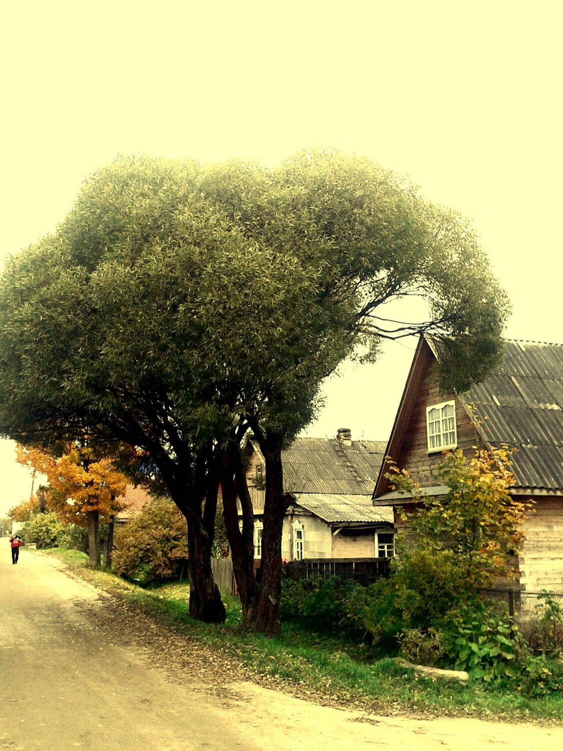 Photo #1506323