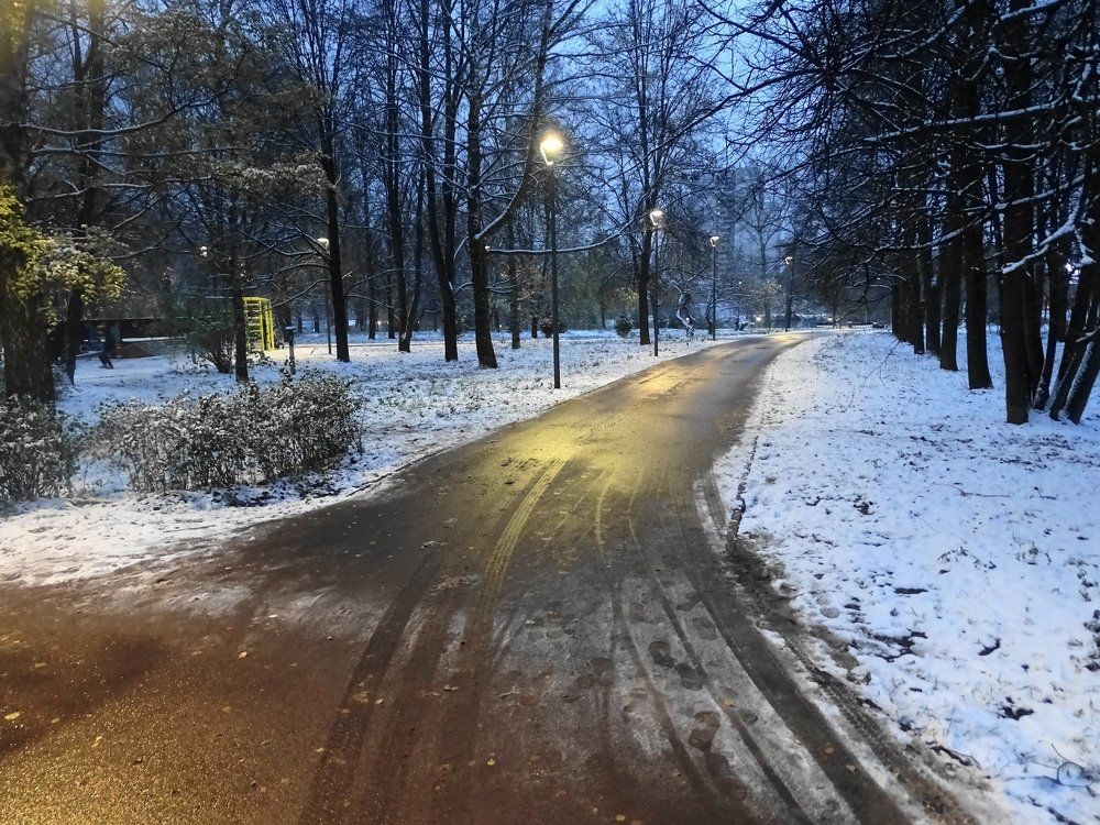 Вечерний парк. Первый снег.