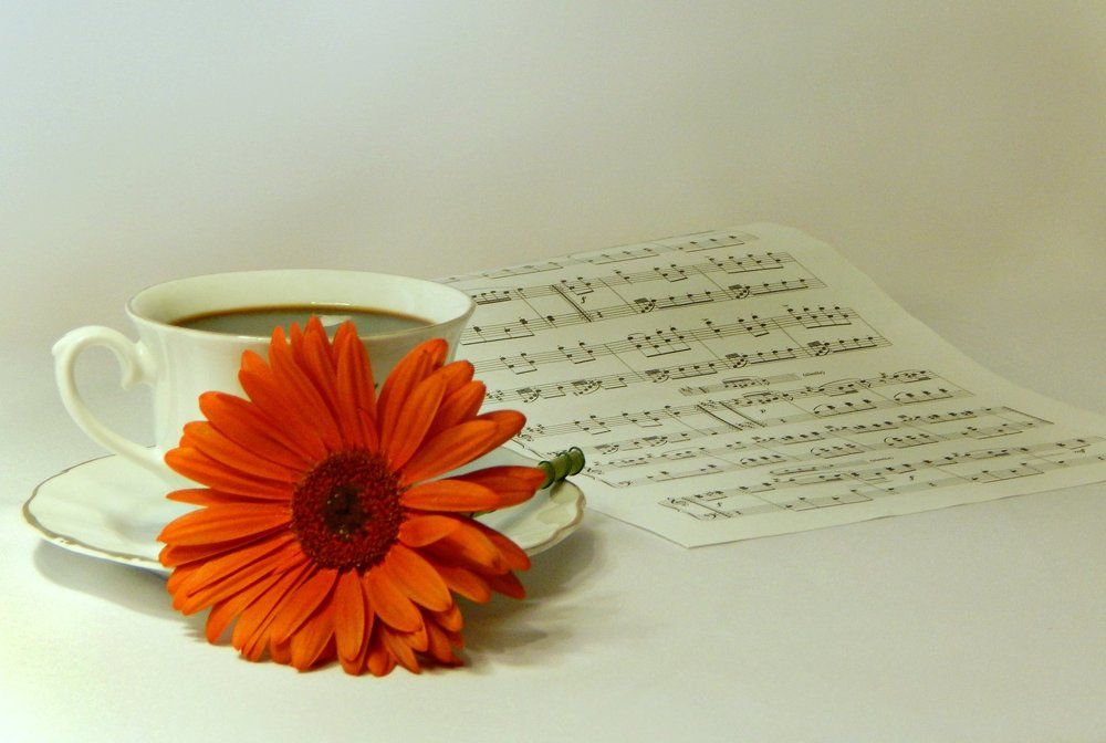 Наедине с музыкой