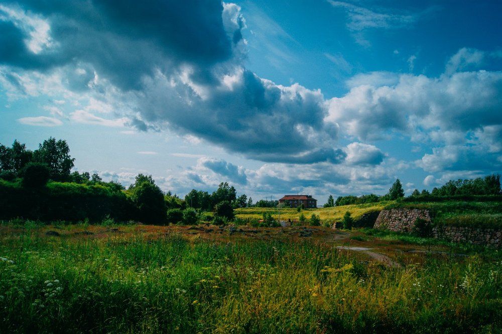 Выборг, поле