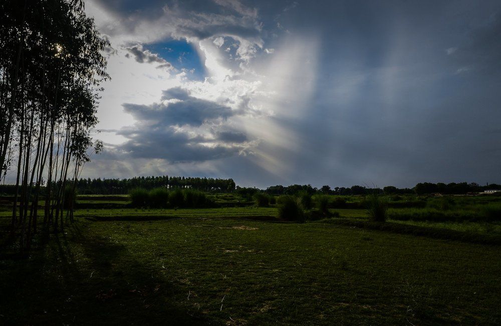 Face of Clouds