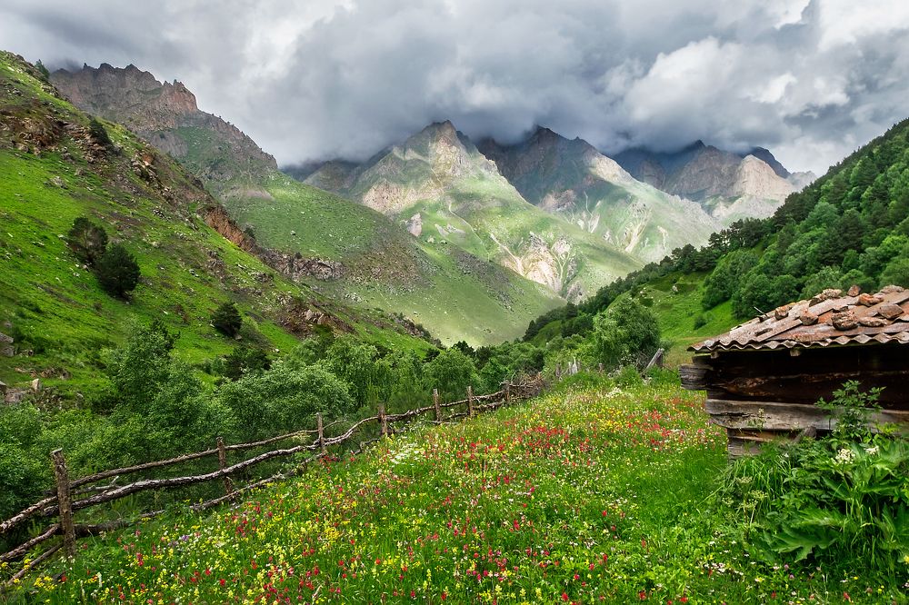 Летние краски