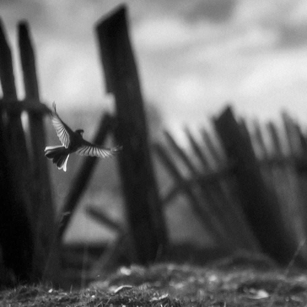 Держись мой забор, не падай до весны....