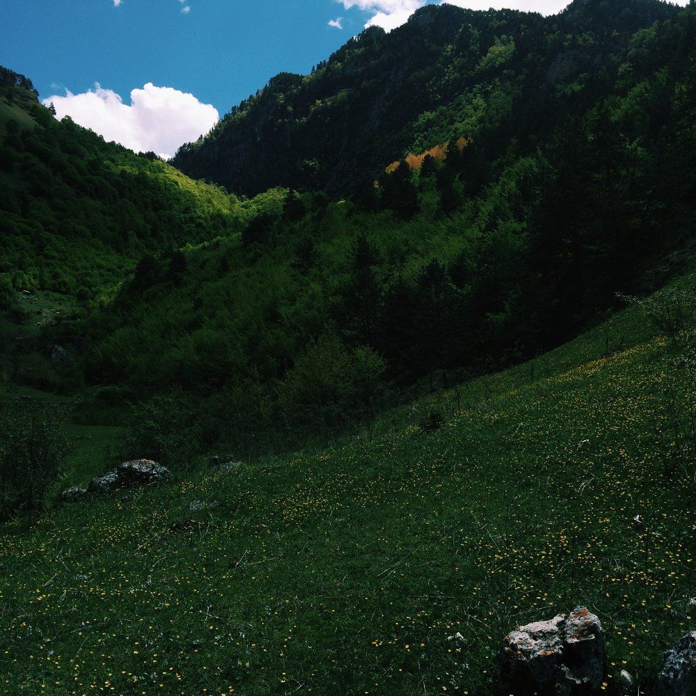 фото на iPhone 5s