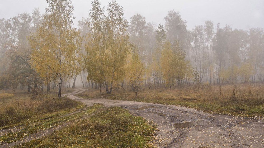 Осенняя акварель