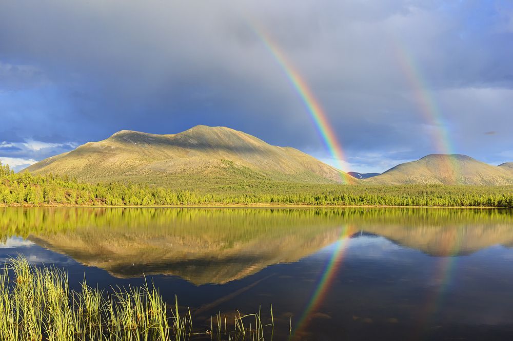 Photograph by Михаил Байбородин