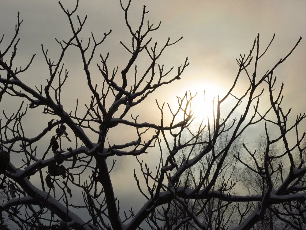 дыхание зимы